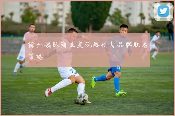 徐州战队商业变现路径与品牌联名策略