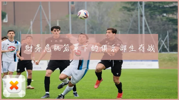 财务危机笼罩下的俱乐部生存战