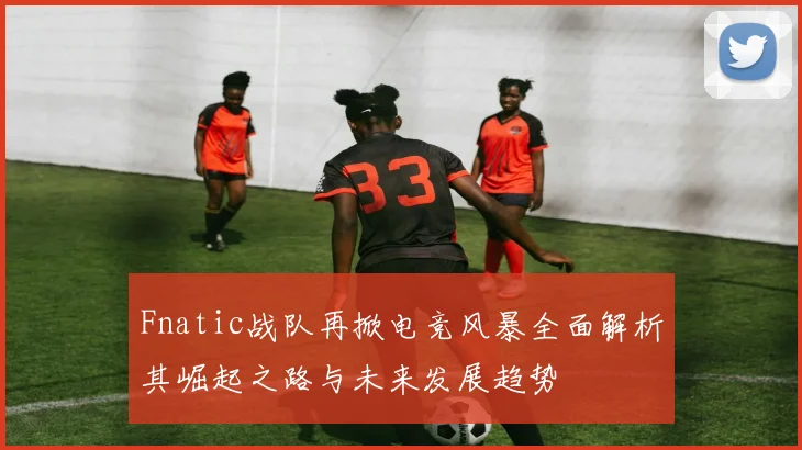 Fnatic战队再掀电竞风暴全面解析其崛起之路与未来发展趋势